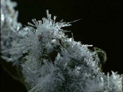英国，树枝上形成冰晶视频素材