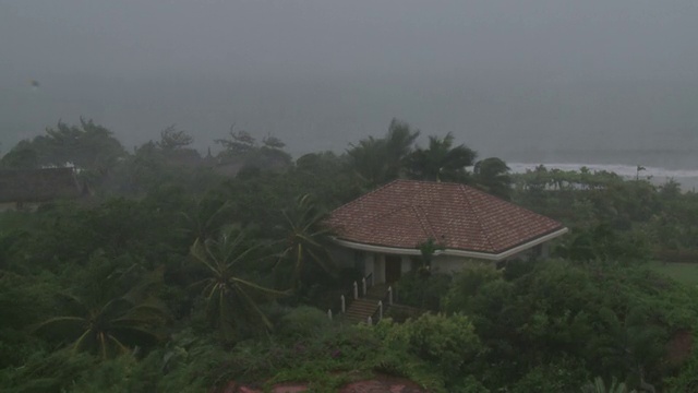 Pan穿过建筑物和棕榈树，因为他们受到台风风和雨的袭击，台风Conson，中国，2010年7月16日/音频视频素材