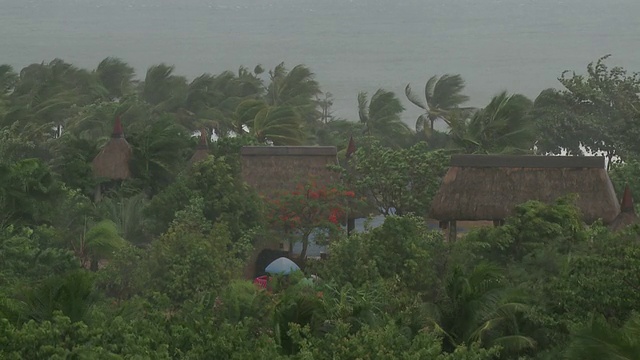 台风康森，中国，2010年7月16日，强风和暴雨冲击着棕榈树和小建筑视频素材