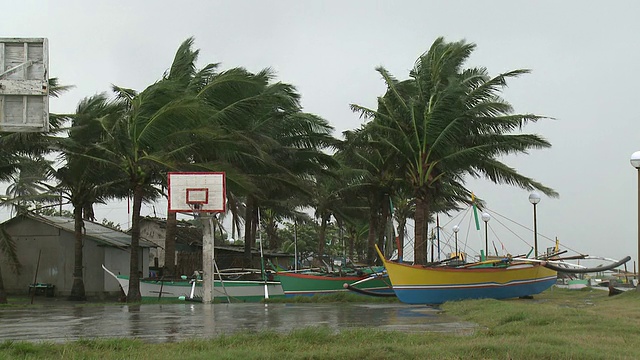 大风把棕榈树和小渔船吹到岸上。超级台风鲇鱼或胡安，东北吕宋岛，菲律宾2010年10月/音频视频下载