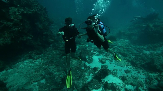 漂亮的年轻夫妇在珊瑚礁潜水视频下载