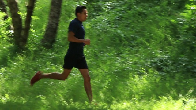 男子跑步穿过森林/洛杉矶，加利福尼亚，美国视频素材