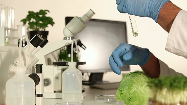 分析食物-生物学实验室视频下载