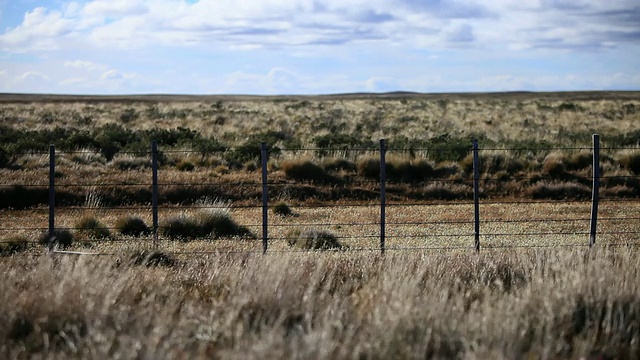 WS T/L围栏，柔和的野草随风飘扬/ Torres del Paine，智利巴塔哥尼亚视频素材
