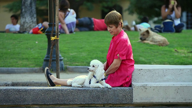 女士坐在她旁边的狗和坐在草地上的人/圣地亚哥，瓦尔中央，智利视频下载