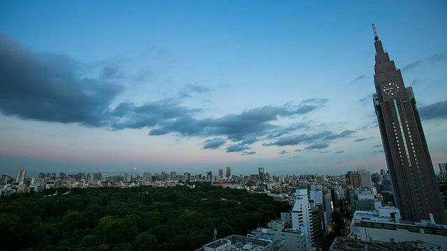 日本东京代代木公园的日落景观视频素材