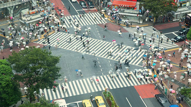 雨中俯瞰八公广场人行横道，日本东京涩谷区视频素材