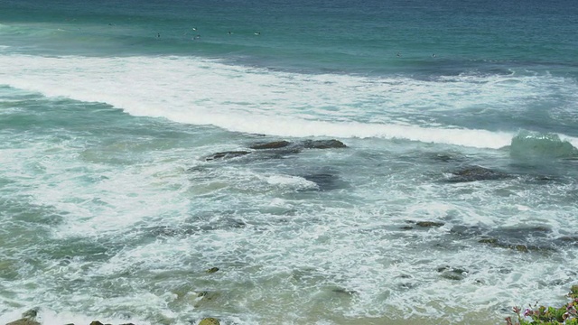 海浪在邦迪海滩，悉尼，新南威尔士，澳大利亚视频素材