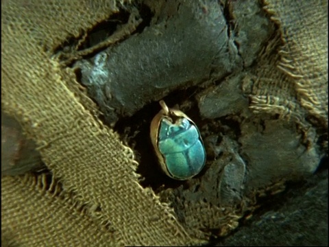 埃及手，CU蓝色圣甲虫戒指视频下载