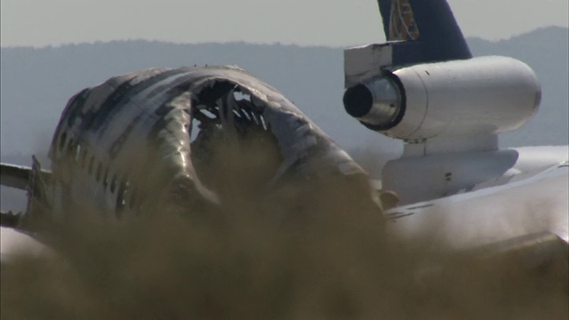 Medium_static -杂草生长在坠毁飞机的残骸周围。视频下载