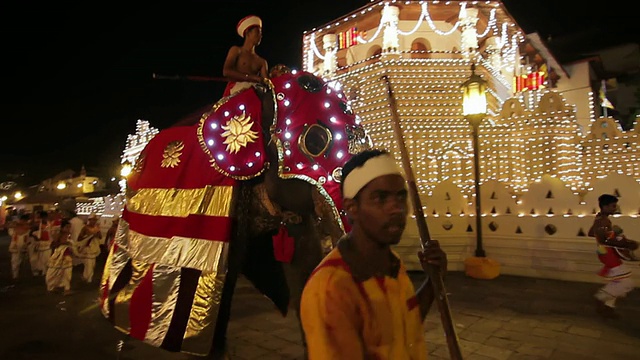 MS TS大象在佛教节或“Esala Perahera”游行前的“牙庙”音频/康提，斯里兰卡中部省视频下载