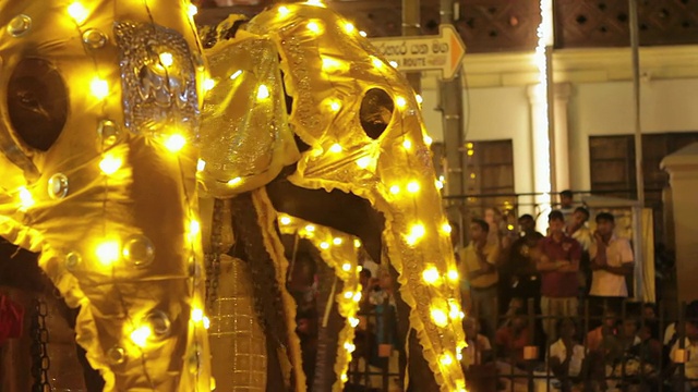 三头大象在佛教节或“Esala Perahera”(牙节)游行，音频/康提，斯里兰卡中部省视频下载