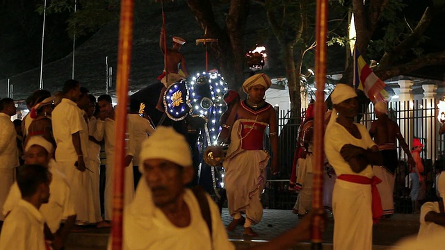 大象和舞者在佛教节或游行'Esala Perahera'(牙齿节)音频/康提，中部省份，斯里兰卡视频素材