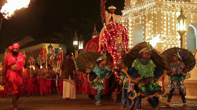大象和舞者在佛教节或游行“Esala Perahera”前的“牙庙”音频/康提，斯里兰卡中部省视频下载