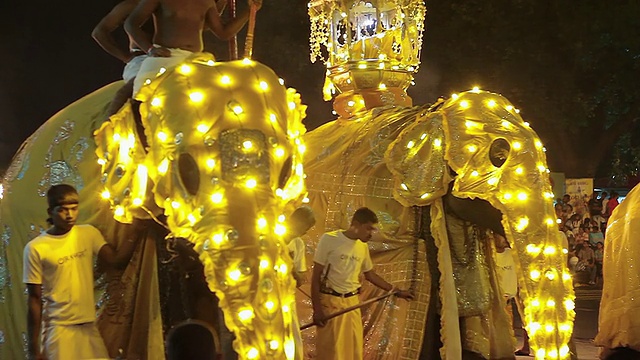 三只雄伟的大象在佛教节游行或“Esala Perahera”(牙节)的音频/康提，斯里兰卡中部省视频素材