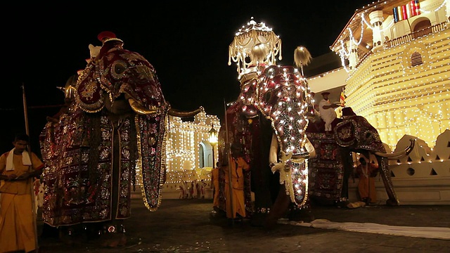 斯里兰卡中部省份康提的“佛牙寺”前，三只大象正为“Esala Perahera”佛教游行做好准备视频素材