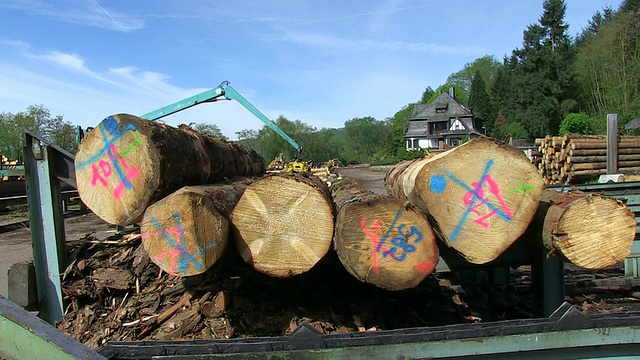德国莱茵兰-普法尔茨，Schweich锯木厂的原木上的马克视图视频下载