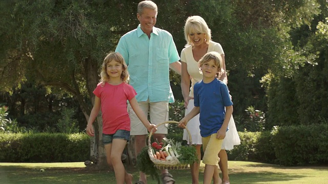 祖父母和孙辈们在花园里挎着一篮蔬菜散步。视频素材