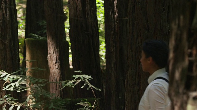这对情侣穿过红杉，停下来用智能手机拍照/美国加州圣克鲁兹视频下载