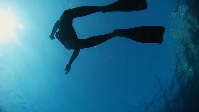 高清慢动作:潜水员游回水面视频下载