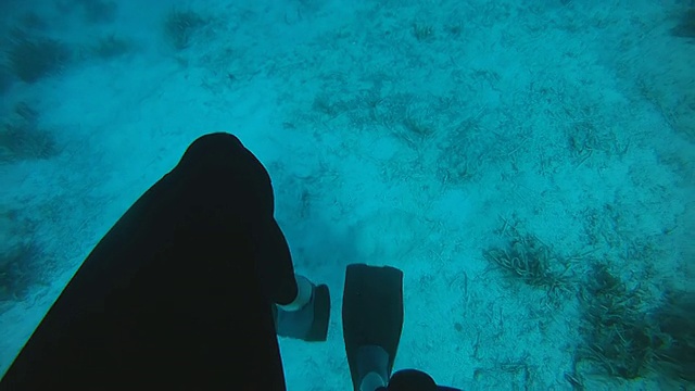 高清慢动作:潜水员游回水面视频素材