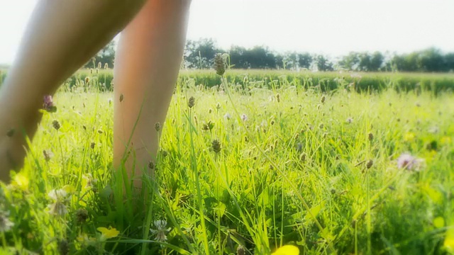 年轻女人的脚在草地上视频素材