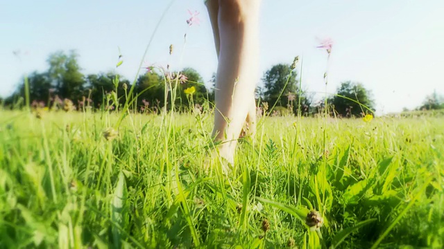 女人的脚走在草地上视频素材