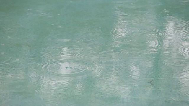 水池上的雨视频下载