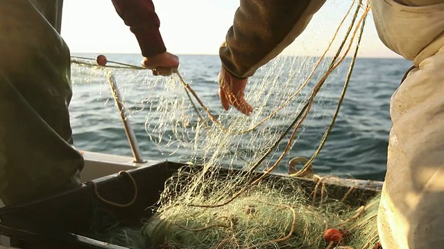 渔民在工作，拉网视频素材