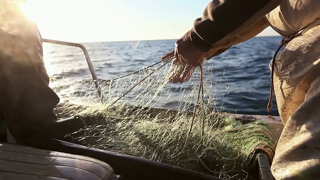 渔民在工作，拉网视频下载