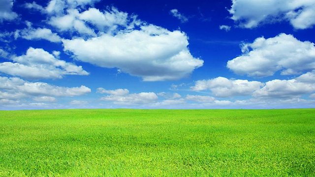 绿色的田野和蓝色的天空高清视频素材