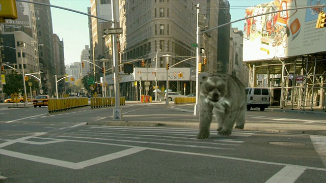 中等倾斜-扁平的铁建筑消失在一个熊狗在电脑生成的动画。/美国纽约纽约市视频下载