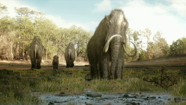 宽镜头静态-在计算机生成的动画中，一头乳齿象接近它的兽群。/美国加州洛杉矶视频下载