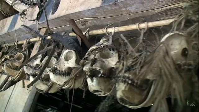中等近景手持跟踪-在印度尼西亚，人类的头骨挂在一个小屋的屋檐上。/印尼视频下载