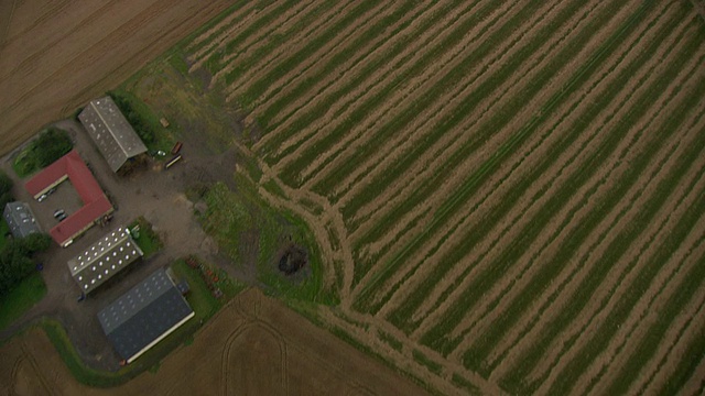 WS鸟瞰图农田/新西兰，丹麦视频素材