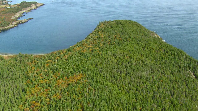 WS ARIEAL DS视图的森林地区在岛/缅因州，美国视频素材