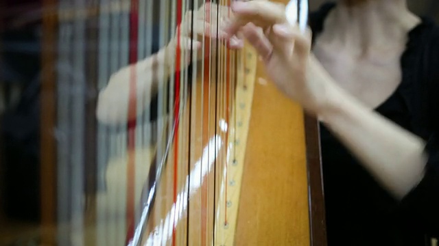 弹奏竖琴的年轻女子视频下载