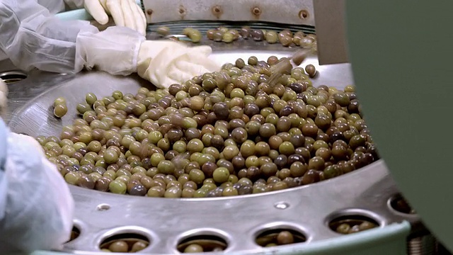 打开的橄榄罐头通过传送带滑槽落入装满腌制橄榄的装满轮中，工人将橄榄推入洞中填充罐头/美国加利福尼亚州的安大略省视频下载