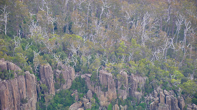 WS AERIAL ZO DS带树的山/阿德莱德，澳大利亚视频素材