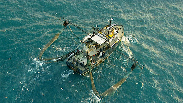捕虾船/达尔文，北领地，澳大利亚视频素材