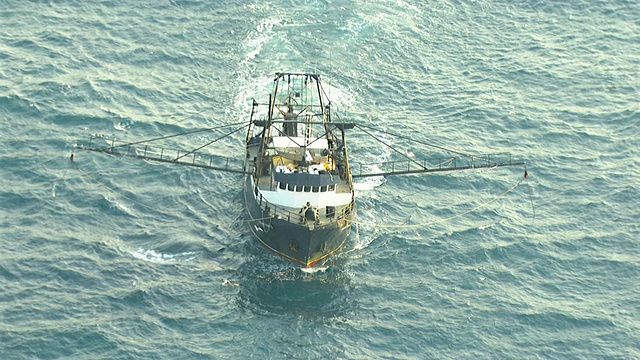 捕虾渔船和一群飞鸟在澳大利亚北领地达尔文上空的照片视频素材