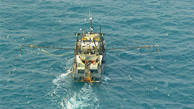 捕虾船/达尔文，北领地，澳大利亚鸟瞰图视频素材