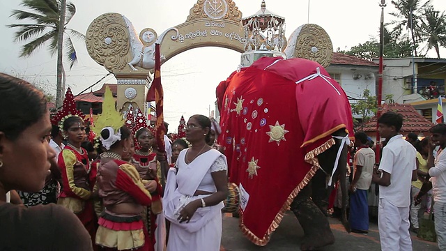 在斯里兰卡南部省份Sinigama佛教游行中，大象手持圣物在Seenigama年度游行中游行视频下载