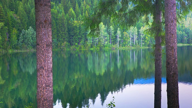 森林在湖中倒影的时间流逝视频素材