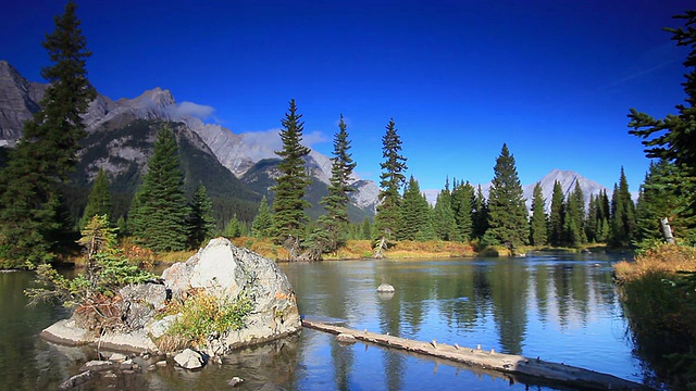 加拿大落基山脉的一条山河视频素材