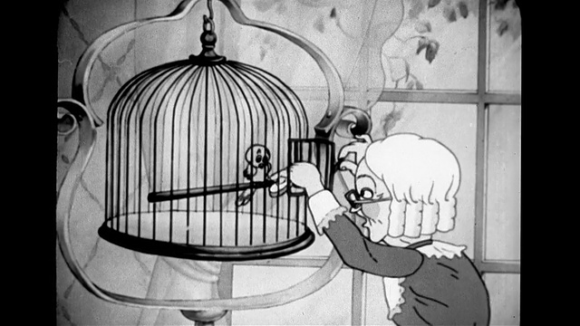 悲伤的金丝雀从笼子里逃了出来视频下载