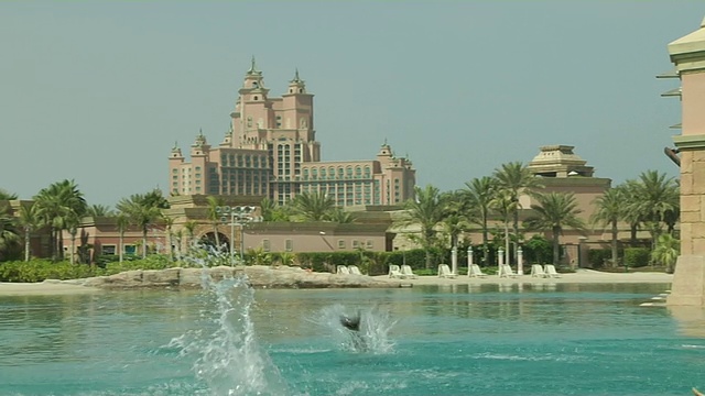 海豚跳阿联酋迪拜视频素材