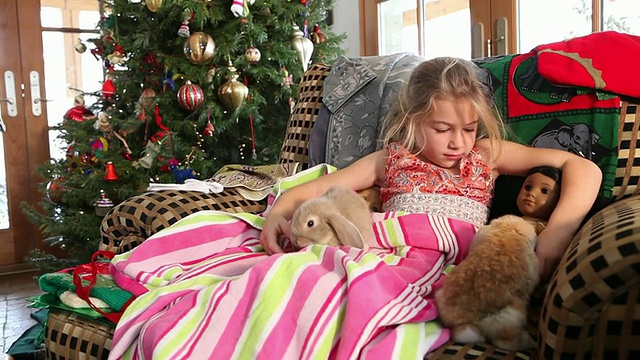 这是一个小女孩在圣诞节的早晨抱着她的两只小兔子的照片/美国新墨西哥州拉米视频素材