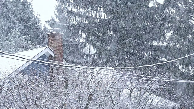 雪落在树上和农村的家/高桥，新泽西，美国视频素材