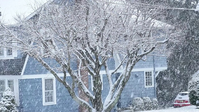 美国新泽西州高桥，雪落在树上和乡下的房子上视频素材